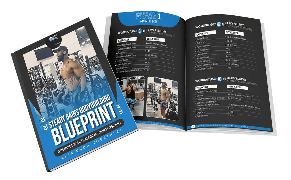 SGF Bodybuilding Blueprint(6 month Plan/ foundation for life)